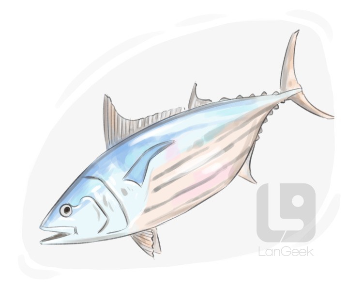 skipjack tuna definition and meaning