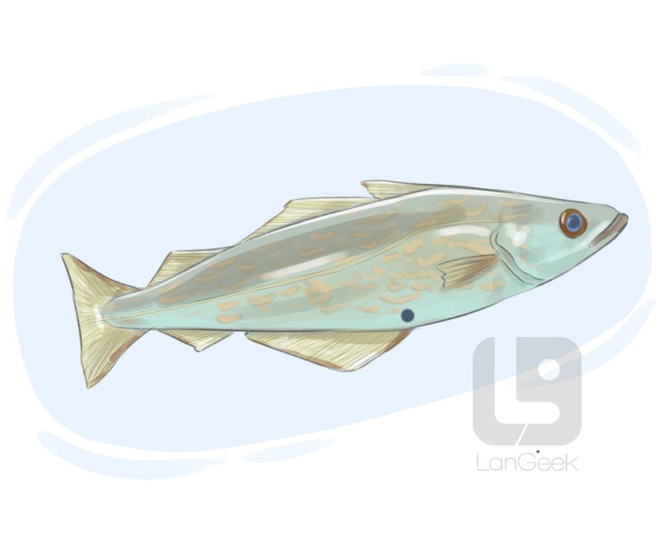 Definition & Meaning of "Whiting" LanGeek