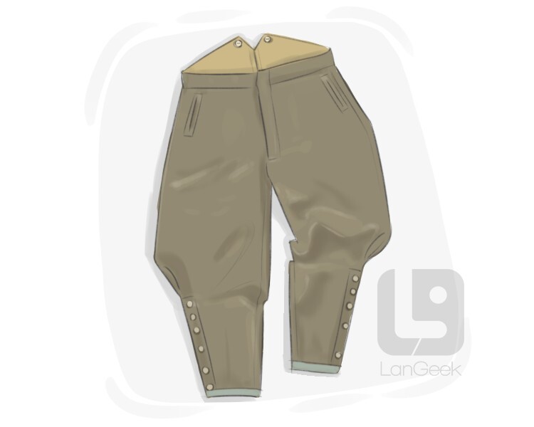 definition-meaning-of-jodhpurs-langeek