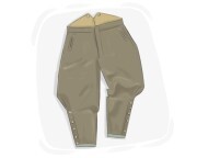 jodhpurs