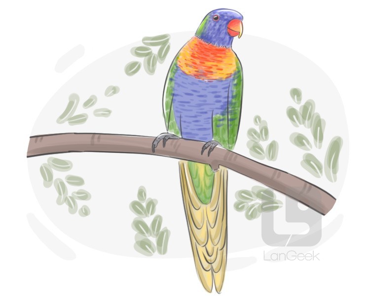 lorikeet definition and meaning