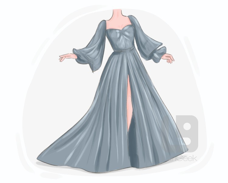 Gown definition 2025