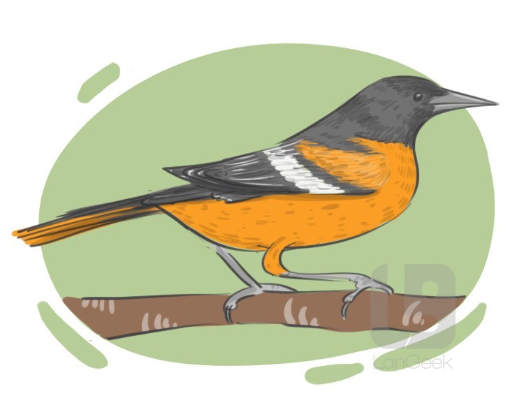 new world oriole definition and meaning