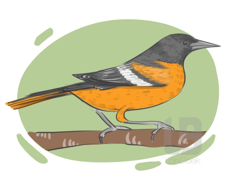 oriole definition and meaning