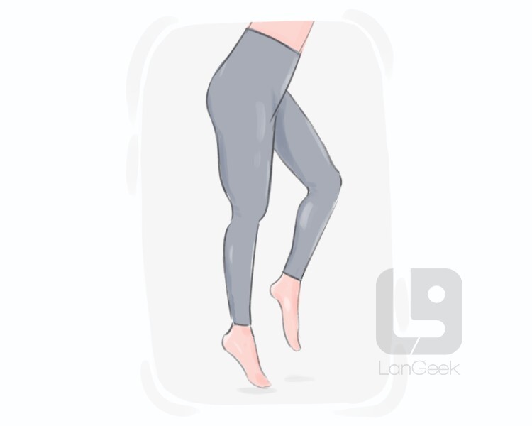Definition & Meaning of Leggings