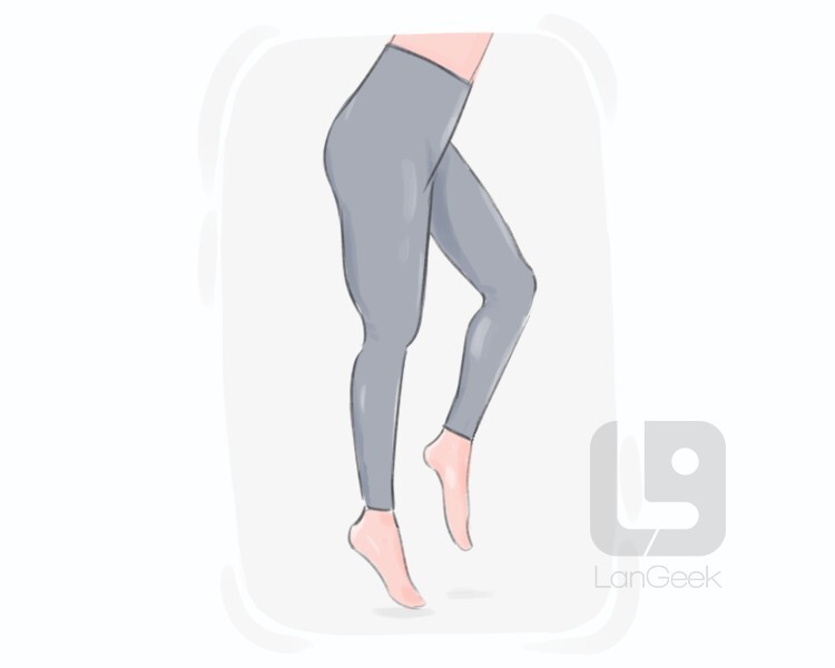 Definition & Meaning of Support tights