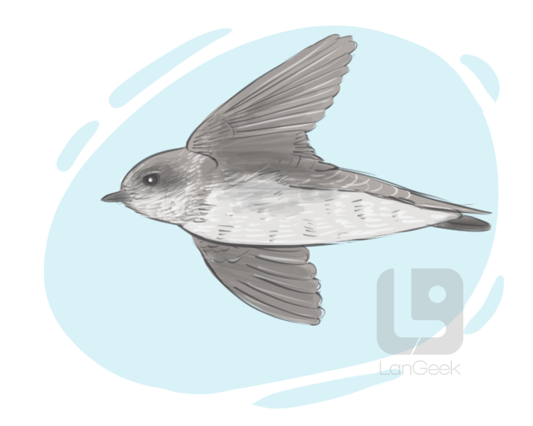 sand martin definition and meaning