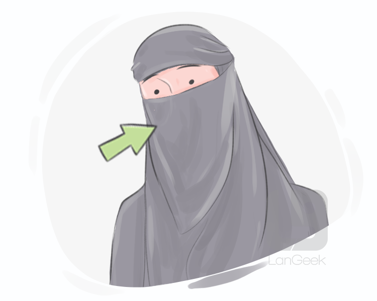 niqab definition and meaning