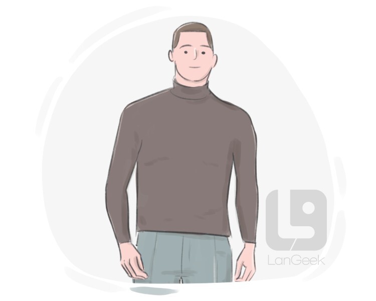 definition-meaning-of-turtleneck-langeek