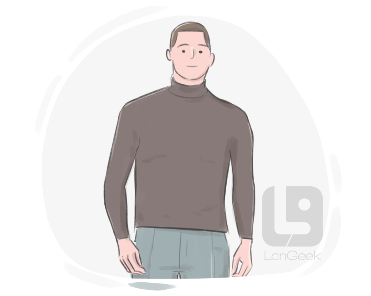 turtleneck collar definition and meaning