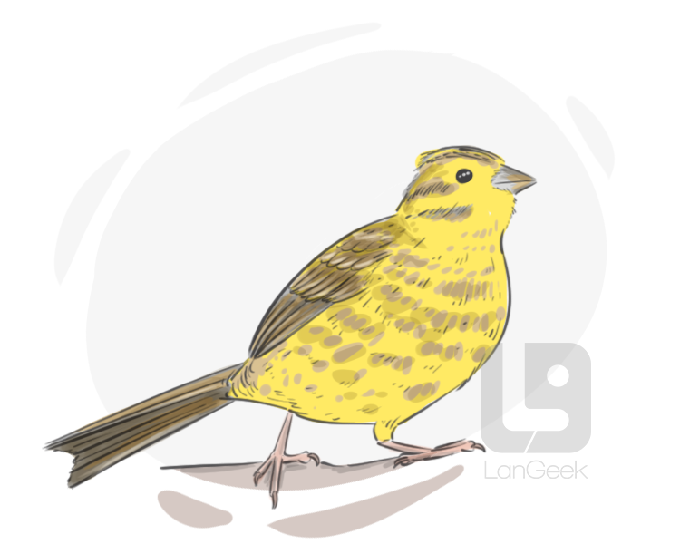 yellowhammer definition and meaning