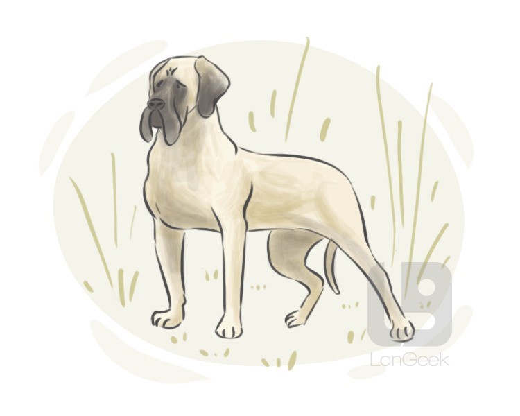 Mastiff definition and meaning