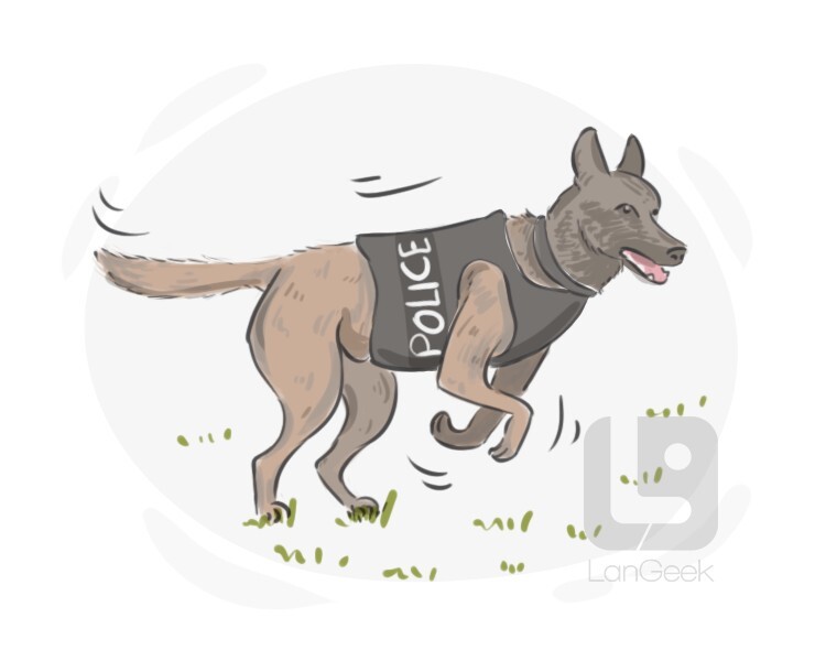 police dog definition and meaning