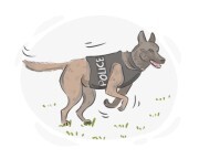 police dog