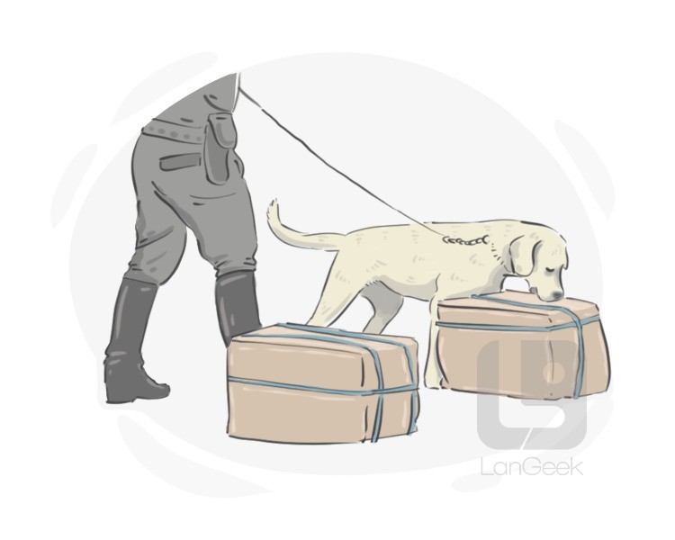 detection dog definition and meaning