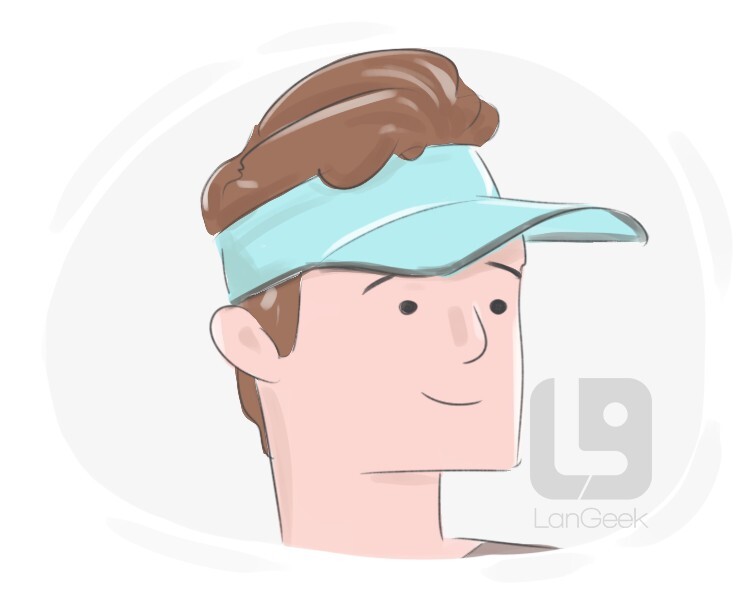 visor definition and meaning