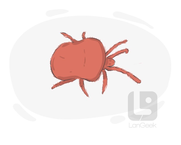 redbug definition and meaning