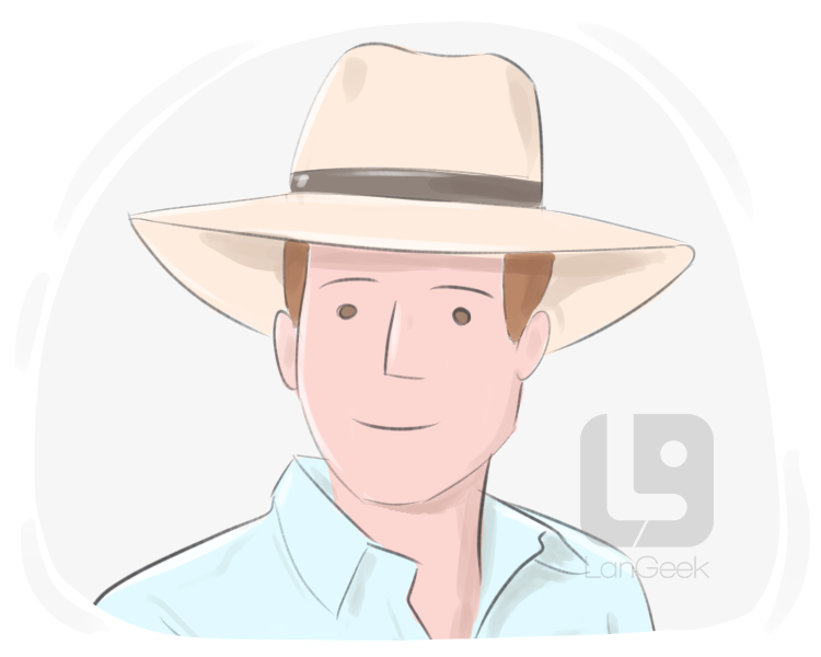 panama hat definition and meaning