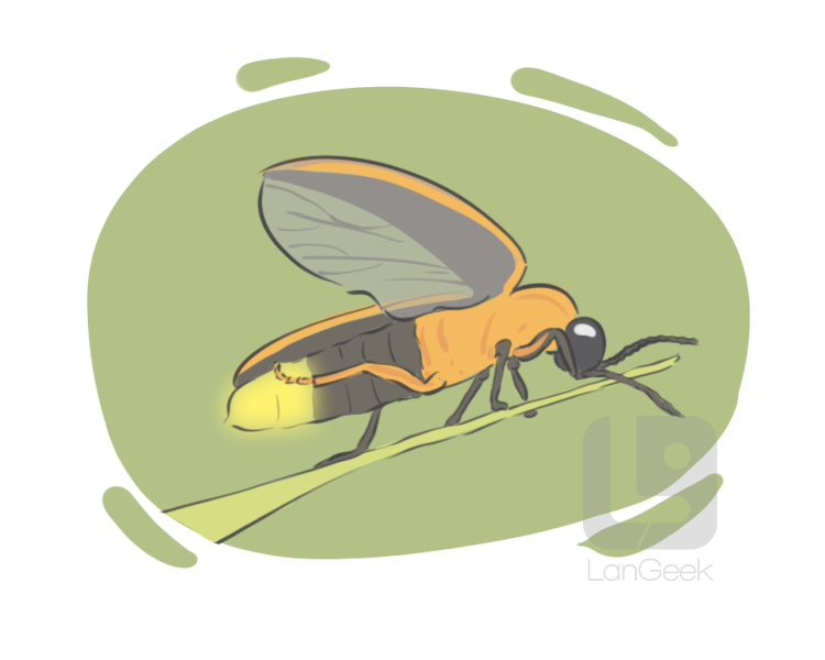 lightning bug definition and meaning