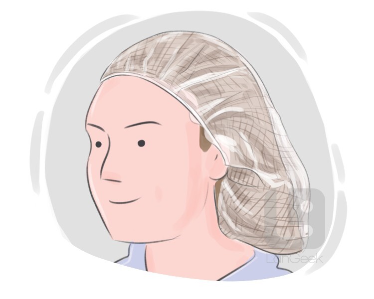 Definition & Meaning of LanGeek