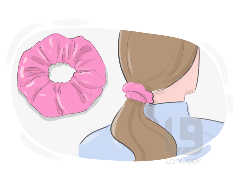 scrunchy definition and meaning