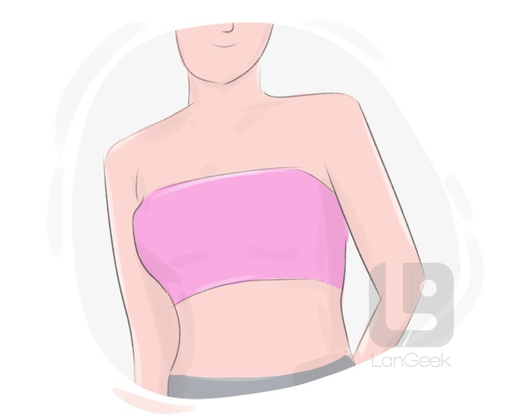 Definition & Meaning of Bandeau