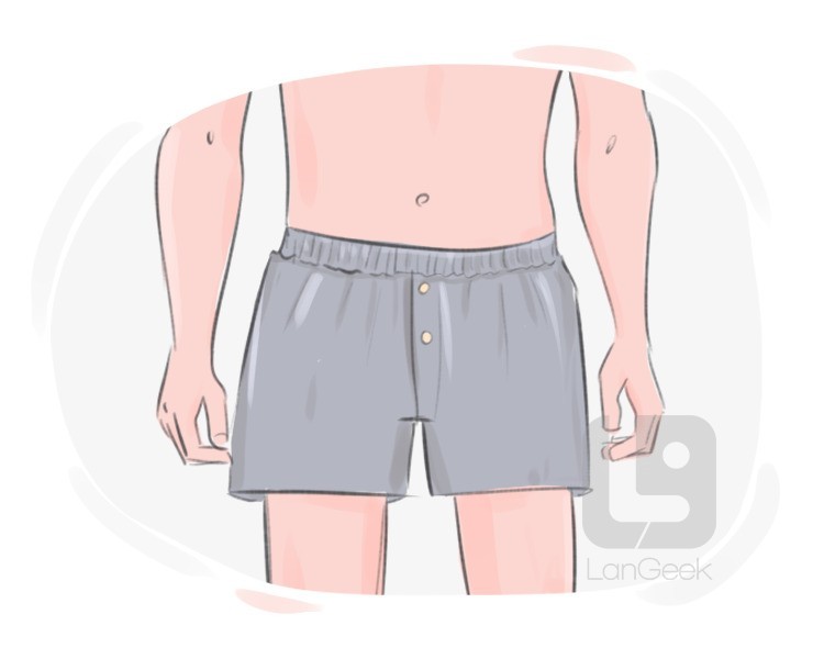 boxershorts definition and meaning