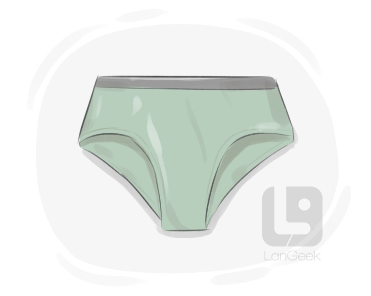 Underwear - Definition, Meaning & Synonyms