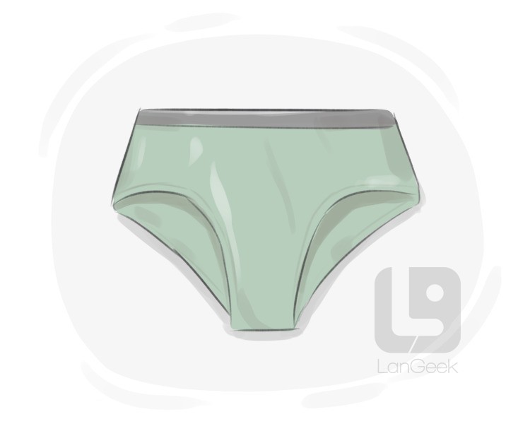Definition & Meaning of Briefs