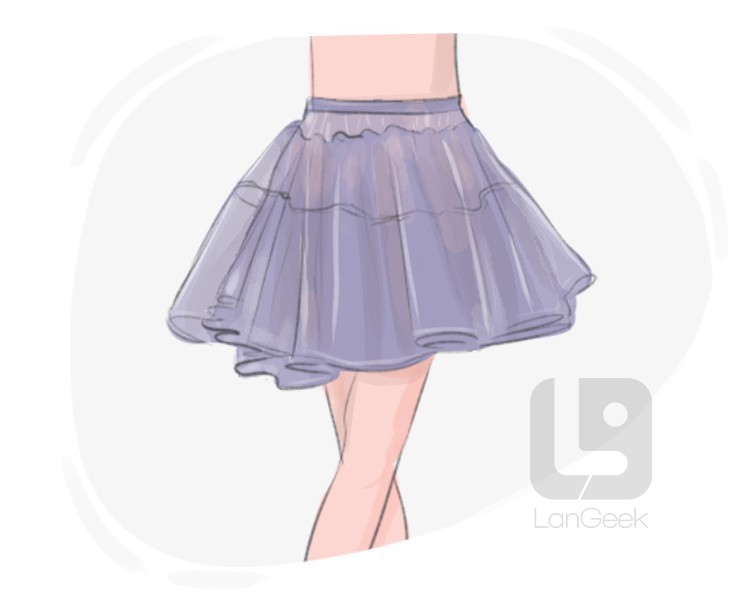 underskirt definition and meaning