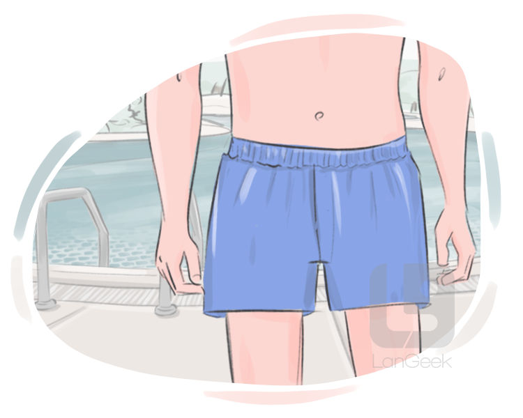 bathing trunks definition and meaning
