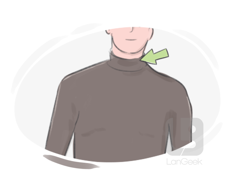 polo-neck collar definition and meaning