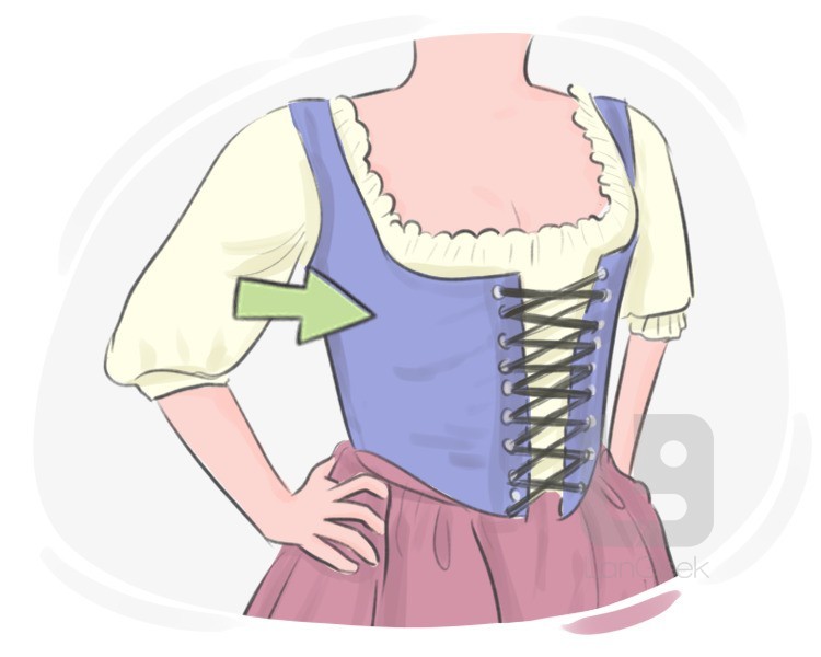 bodice definition and meaning