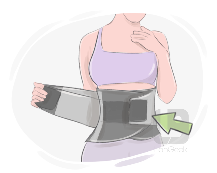 lumbar belt definition and meaning