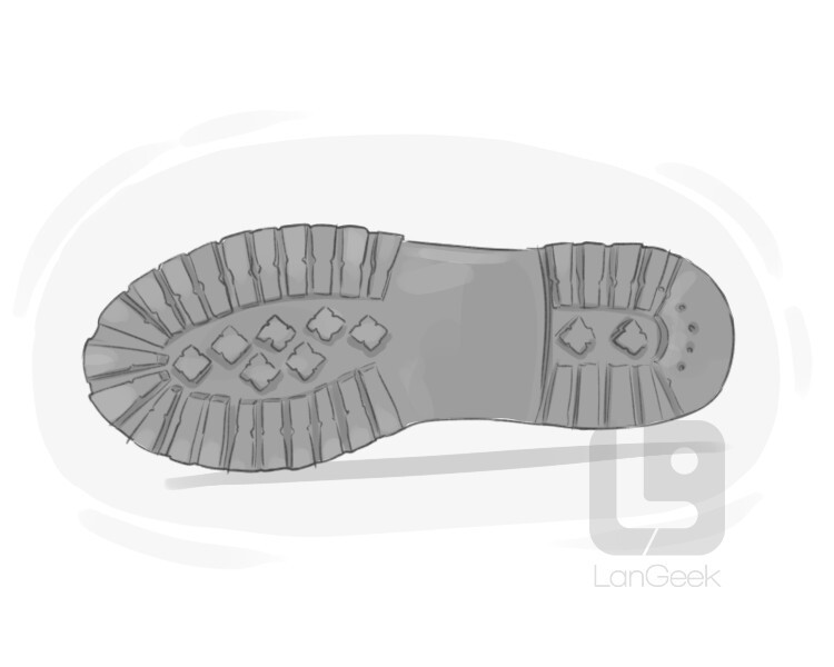 definition-meaning-of-sole-langeek