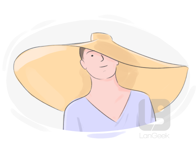 sun hat definition and meaning