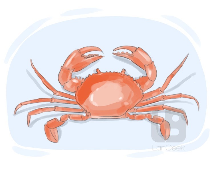 crab definition and meaning