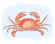 crab