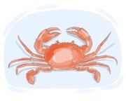 crab