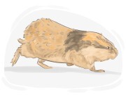 lemming