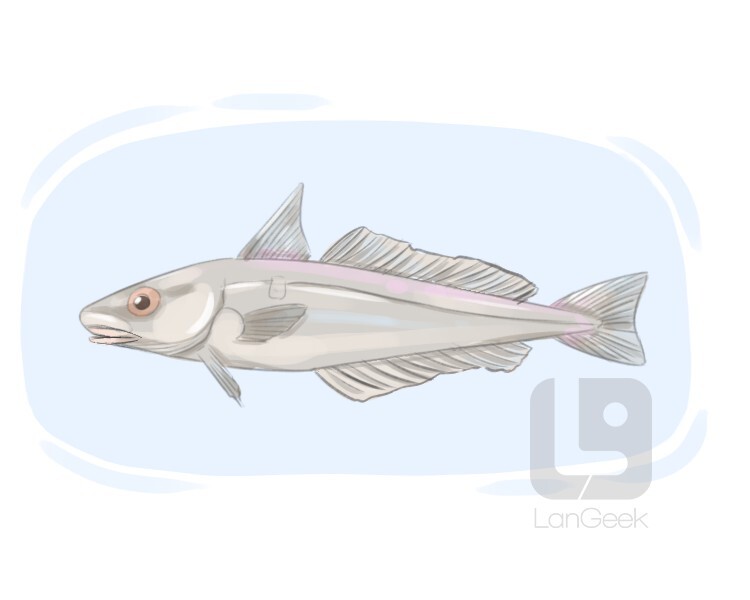 Definition & Meaning of "Hake" LanGeek