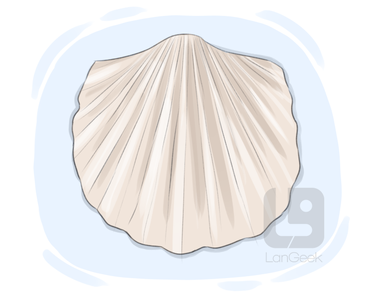 brachiopod definition and meaning