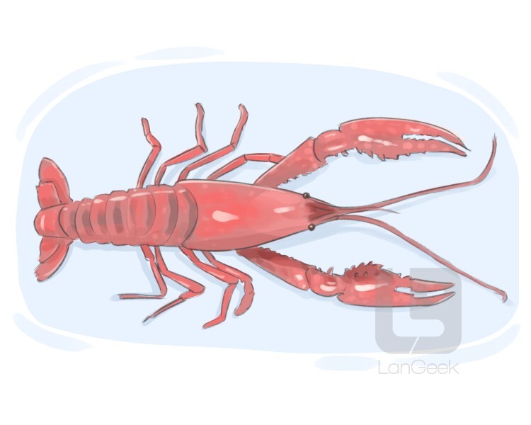 Definition & Meaning of "Crawfish" LanGeek