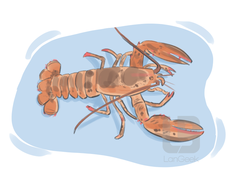 langouste definition and meaning