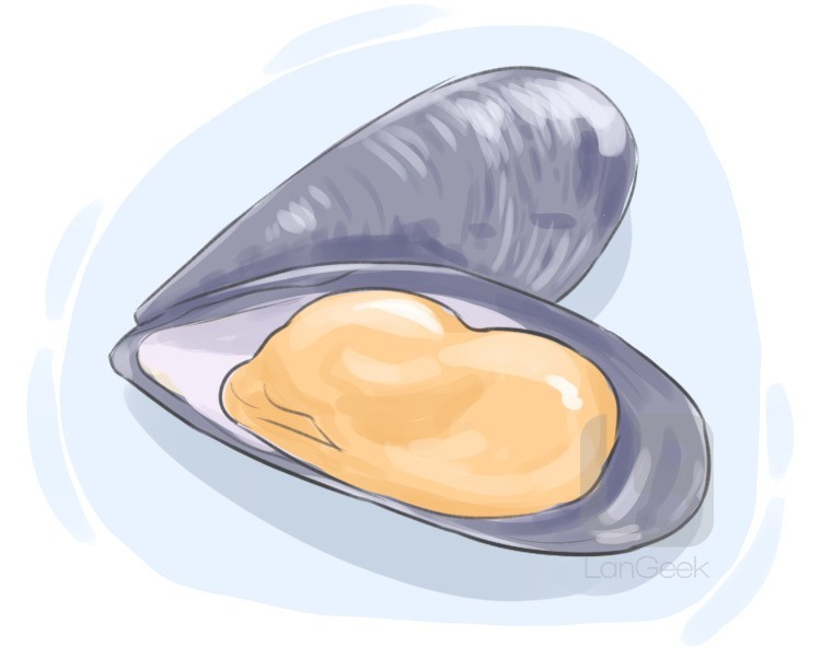 mussel definition and meaning