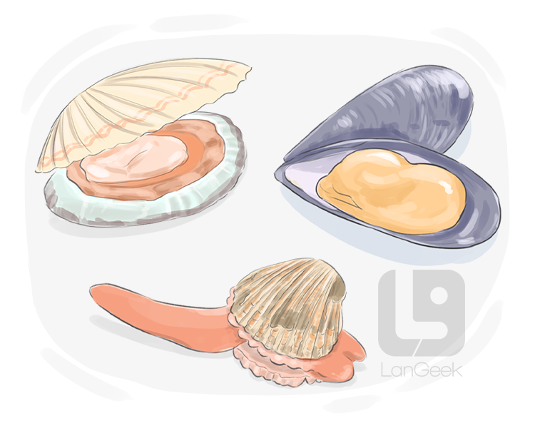 bivalve definition and meaning
