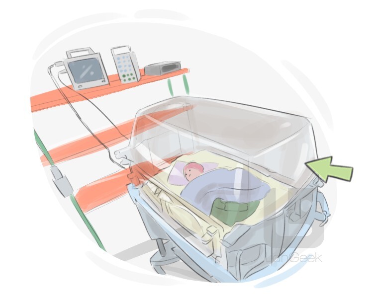 Definition & Meaning of "Incubator" LanGeek