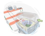 incubator