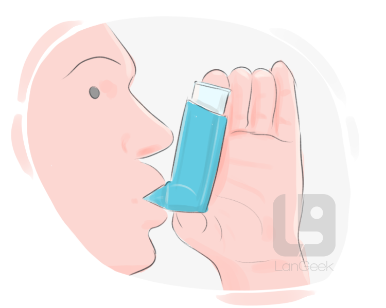 inhaler definition and meaning
