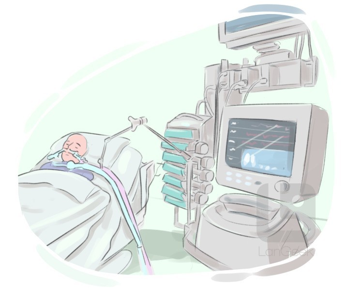 life support machine definition and meaning